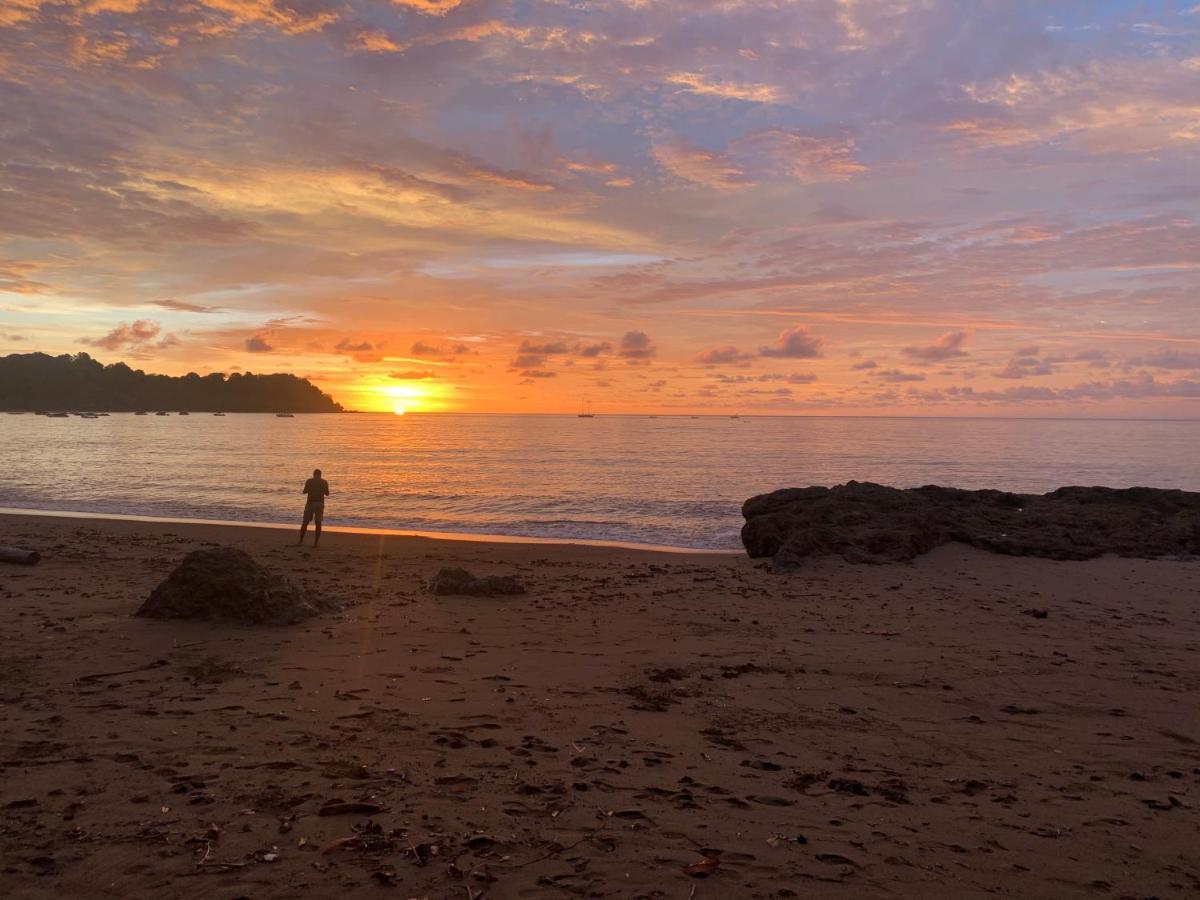 Osa Corcovado Lodge Drake Bay Ngoại thất bức ảnh