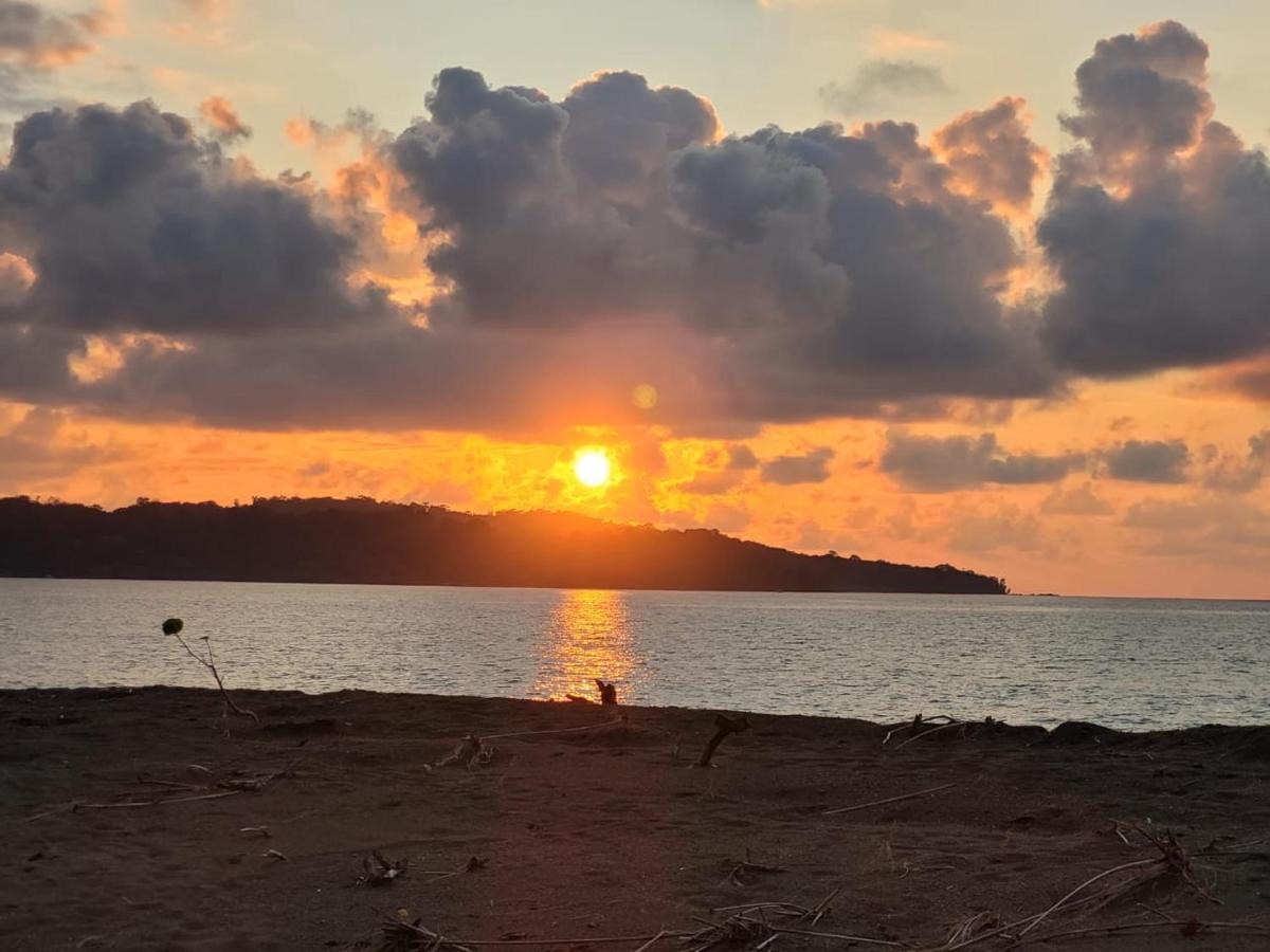 Osa Corcovado Lodge Drake Bay Ngoại thất bức ảnh