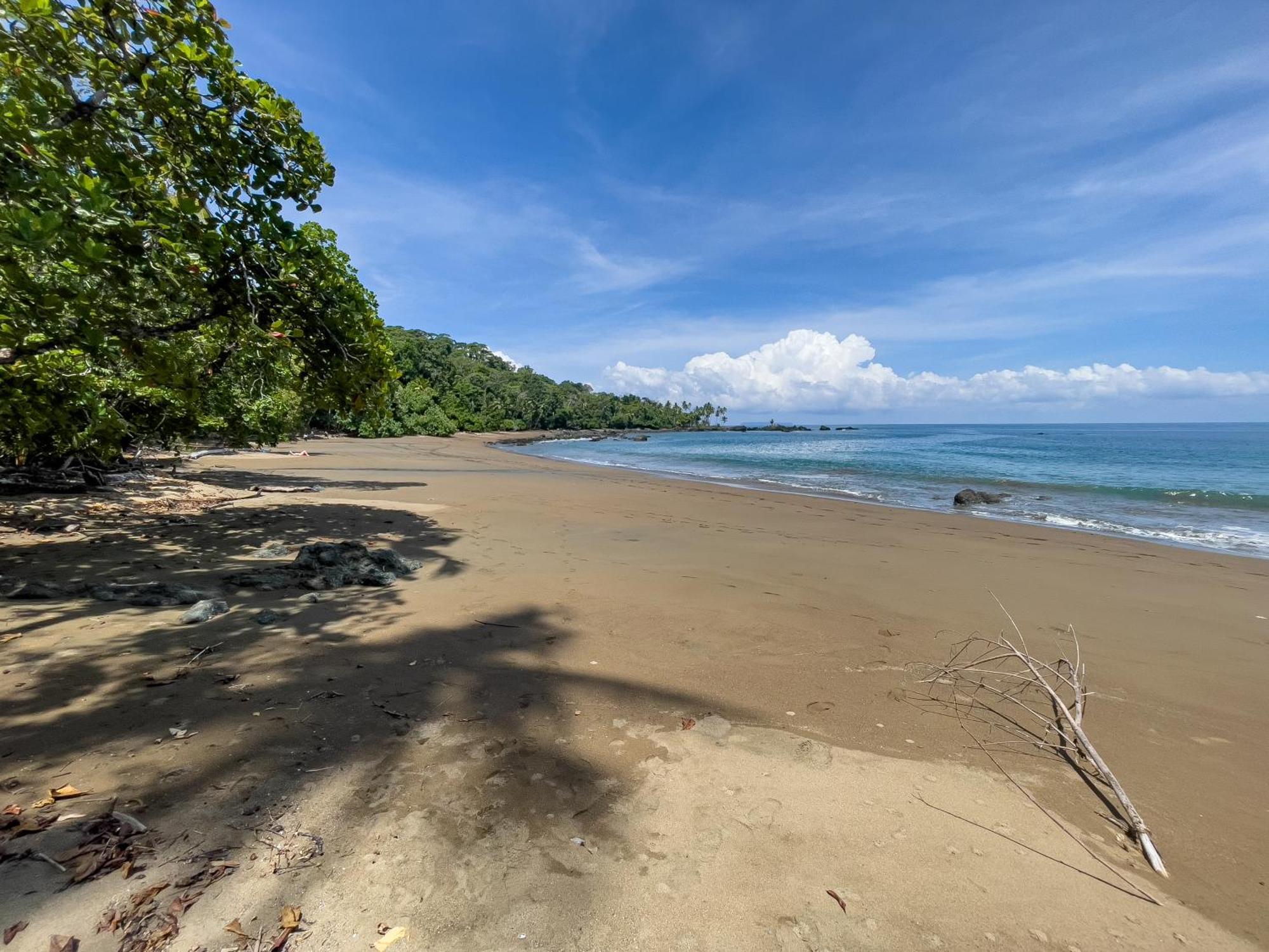 Osa Corcovado Lodge Drake Bay Ngoại thất bức ảnh